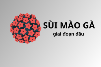 Sùi mào gà giai đoạn đầu – Phát hiện sớm dễ điều trị