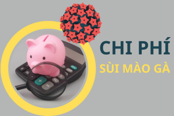 Xác định chi phí khám và điều trị sùi mào gà