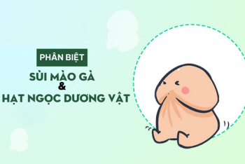 Những tiêu chí phân biệt sùi mào gà và hạt ngọc dương vật
