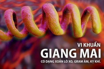 Bệnh giang mai dấu hiệu và cách điều trị