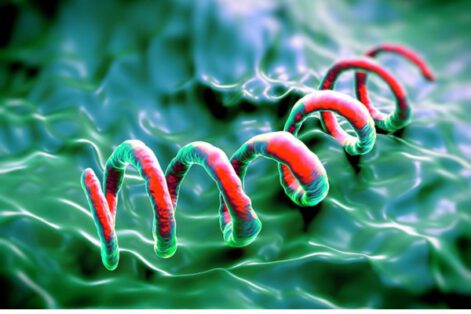 Giang mai: Biểu hiện, biến chứng và tầm quan trọng của điều trị kịp thời