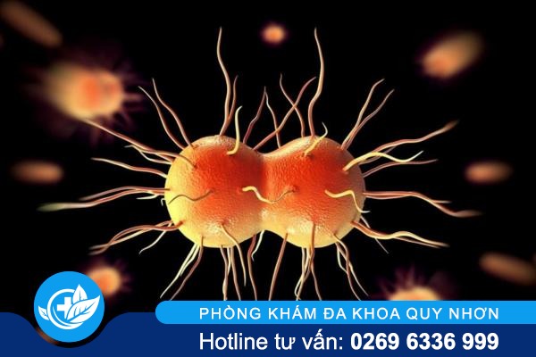 Bệnh lậu: Những điều cần biết để phòng tránh và điều trị hiệu quả